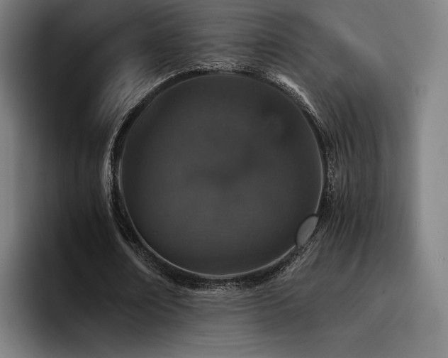 X0000093430674200710121202