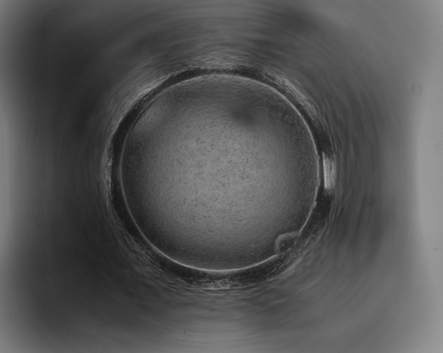 X0000093430675200710121202