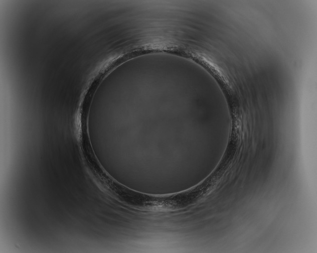 X0000093430678200710121202