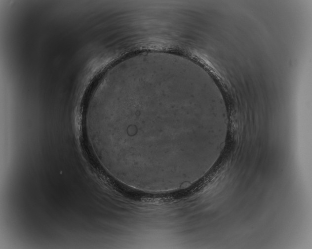 X0000093430679200710121202