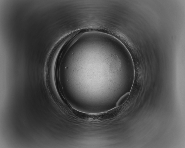 X0000093430680200710121202
