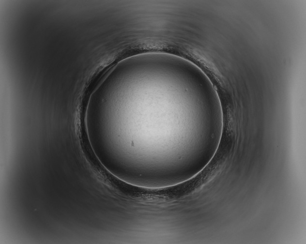 X0000093430681200710121202
