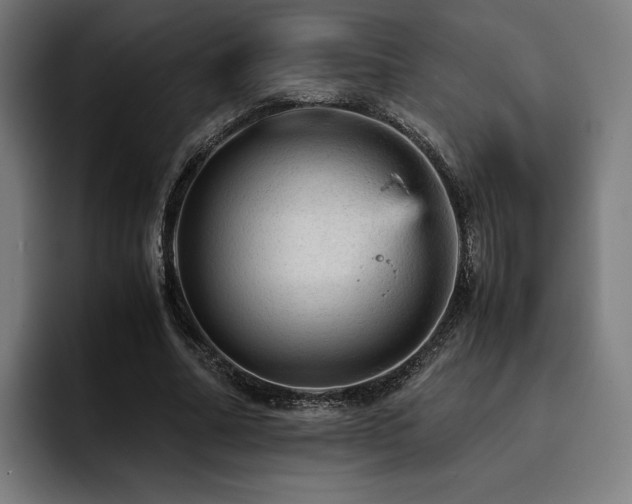 X0000093430682200710121202