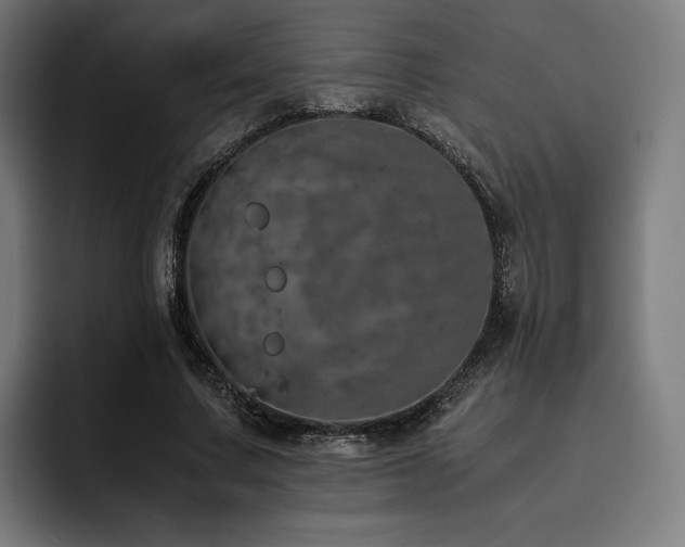 X0000093430683200710121202
