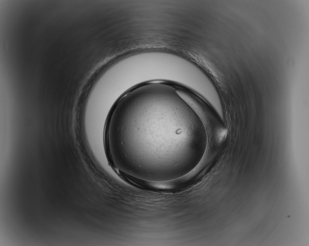 X0000093430684200710121202