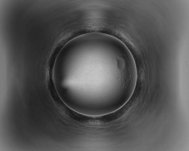 X0000093430685200710121202