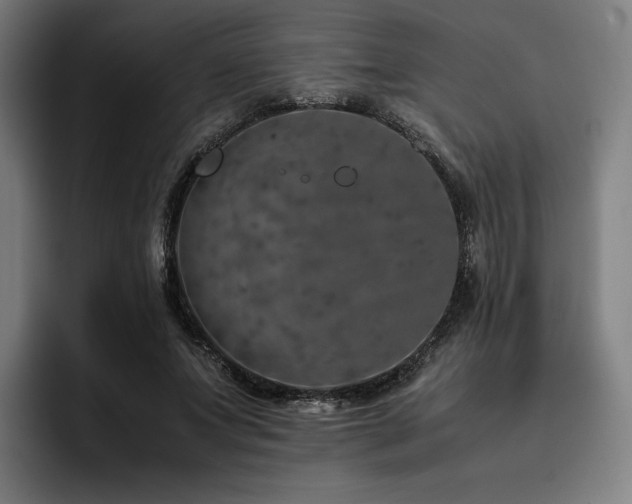 X0000093430687200710121202