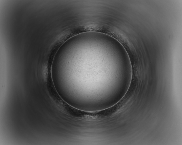 X0000093430690200710121202