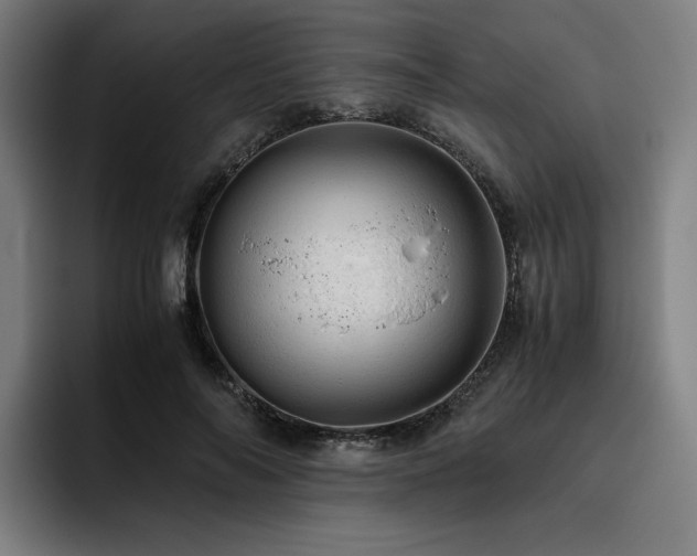 X0000093430694200710121202