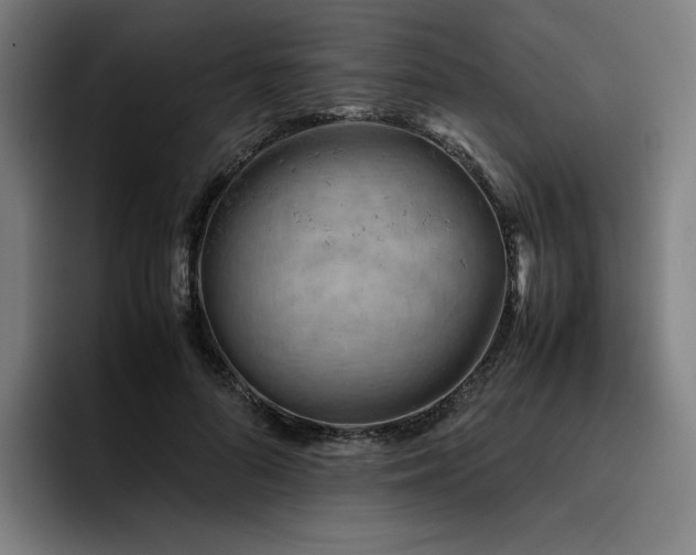 X0000093430696200710121202