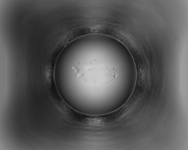 X0000093430698200710121202