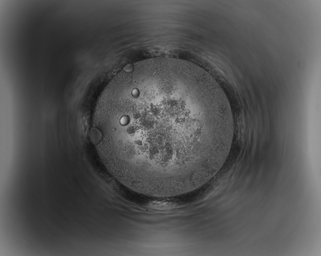 X0000093430699200710121202