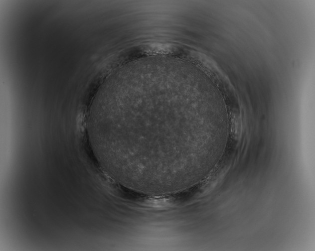 X0000093430701200710121202