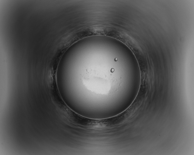 X0000093430702200710121202