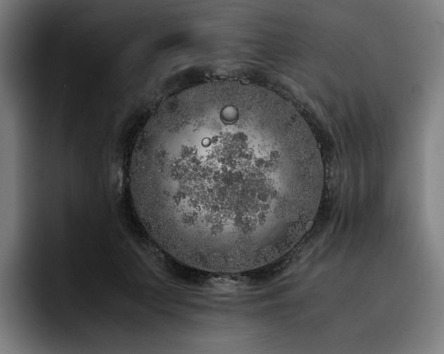 X0000093430703200710121202