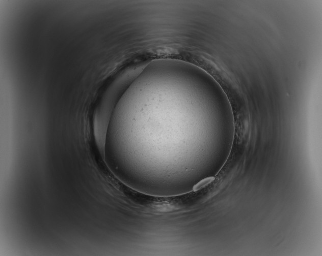 X0000093430704200710121202