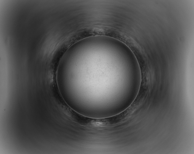 X0000093430706200710121202