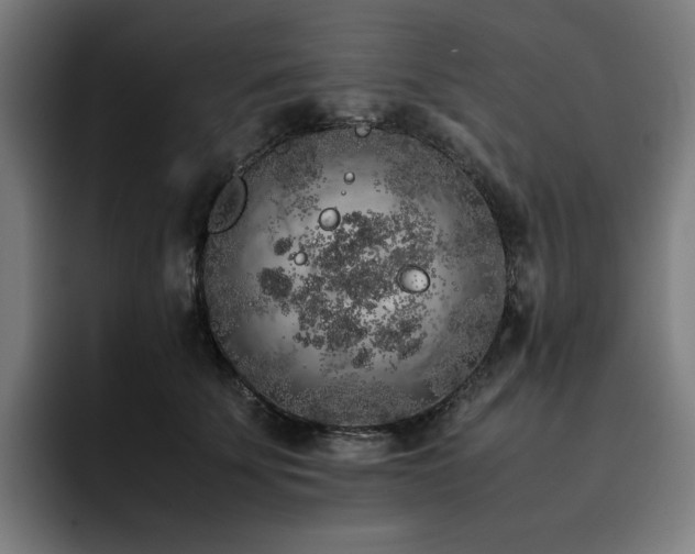 X0000093430707200710121202