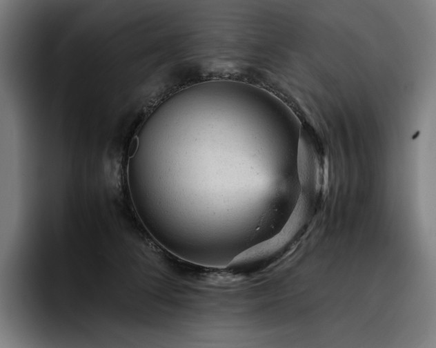 X0000093430708200710121202