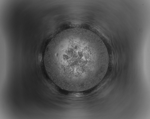 X0000093430711200710121202