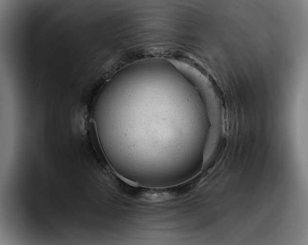 X0000093430712200710121202