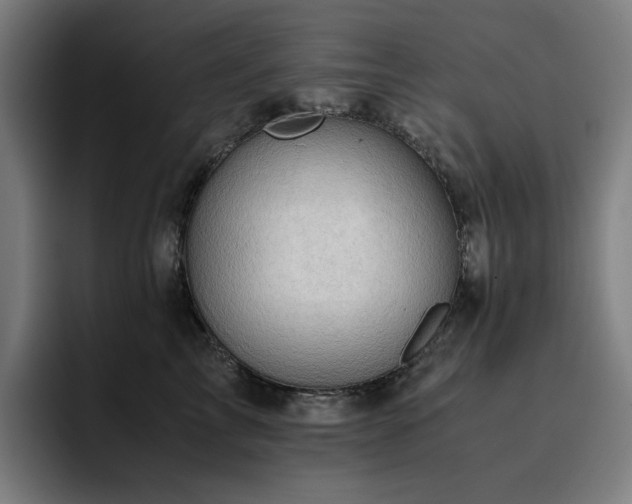 X0000093430713200710121202