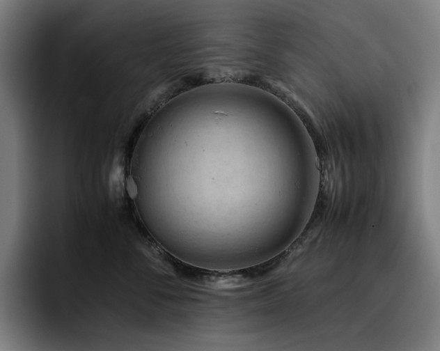 X0000093430716200710121202