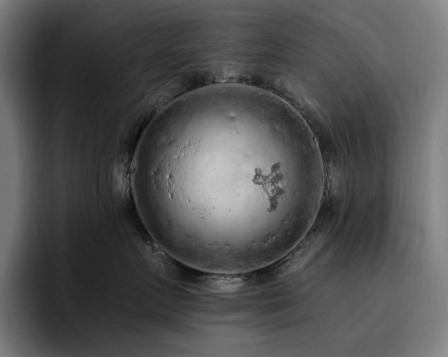 X0000093430719200710121202