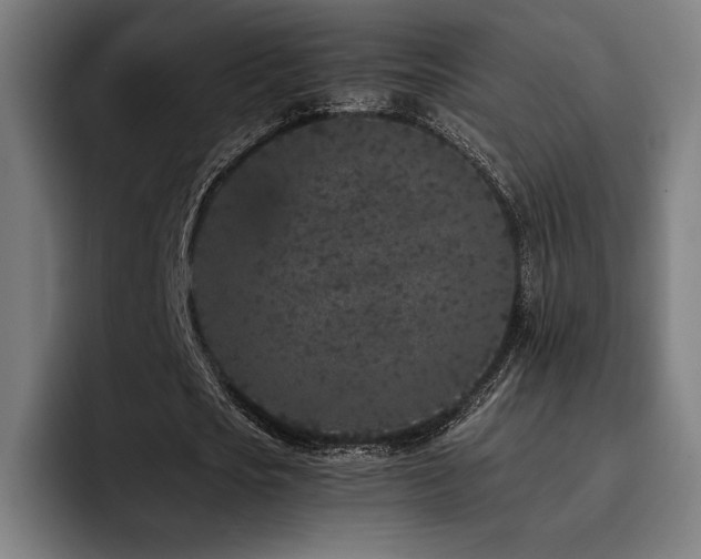 X0000093430721200710121201