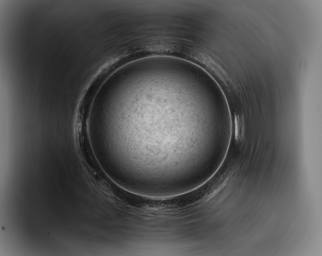 X0000093430723200710121201
