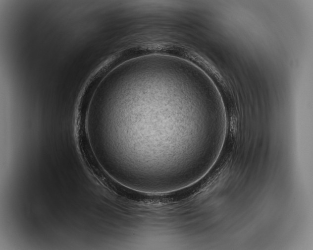 X0000093430724200710121201