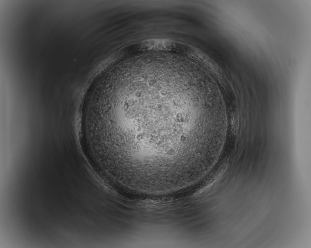 X0000093430725200710121201