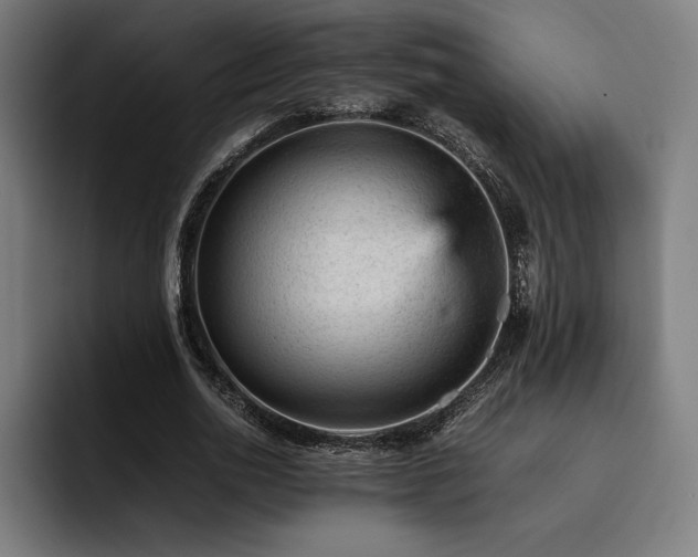 X0000093430726200710121201