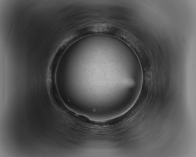X0000093430727200710121201
