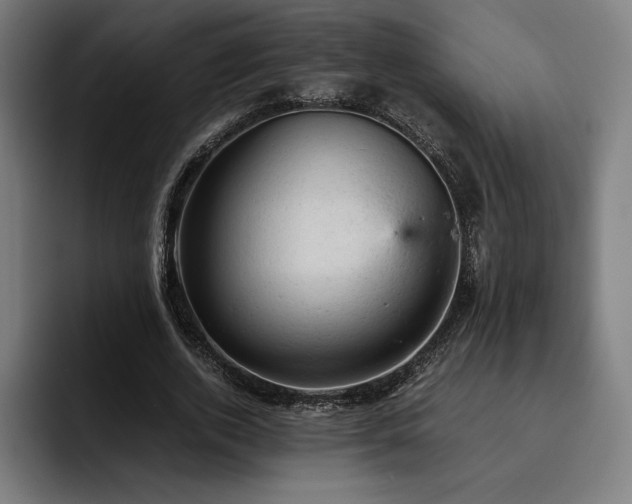 X0000093430728200710121201