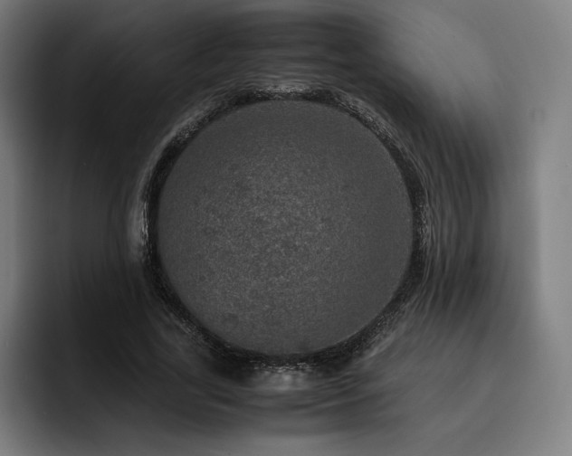 X0000093430731200710121201
