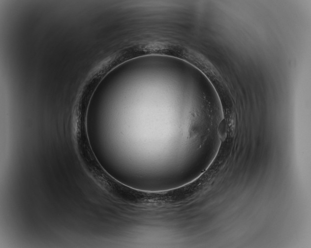 X0000093430732200710121201