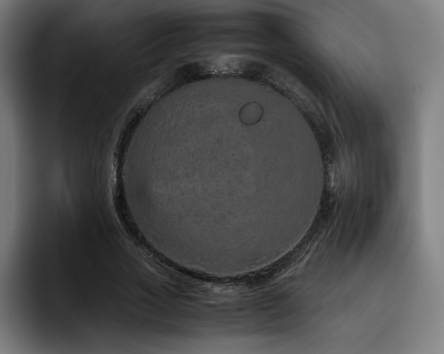 X0000093430733200710121201