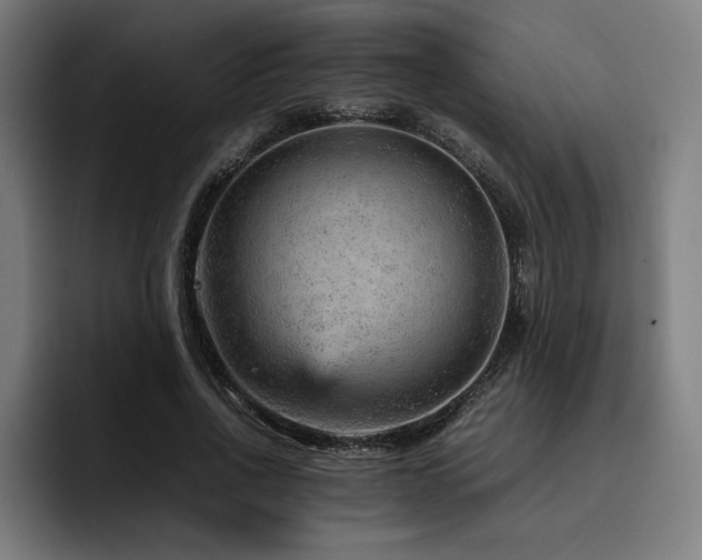 X0000093430734200710121201
