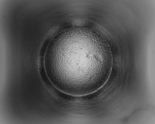 X0000093430738200710121201
