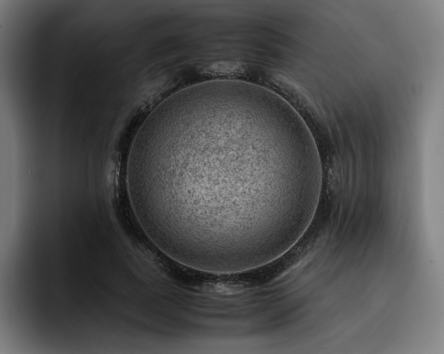 X0000093430739200710121201