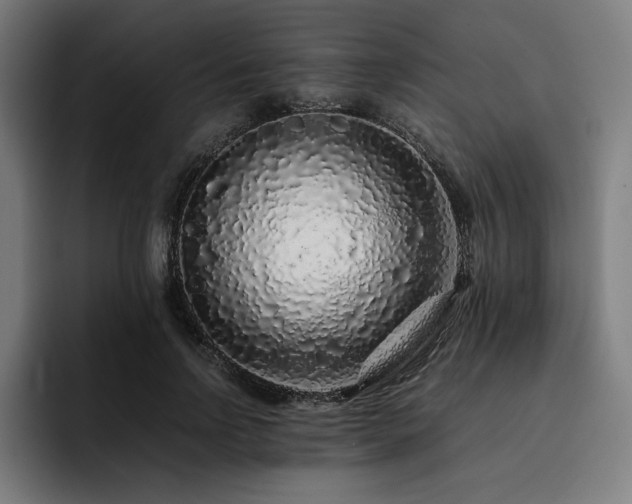 X0000093430742200710121201