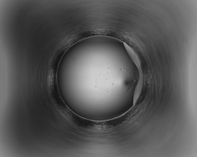 X0000093430744200710121201
