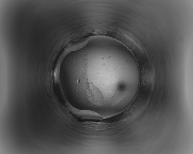 X0000093430748200710121201