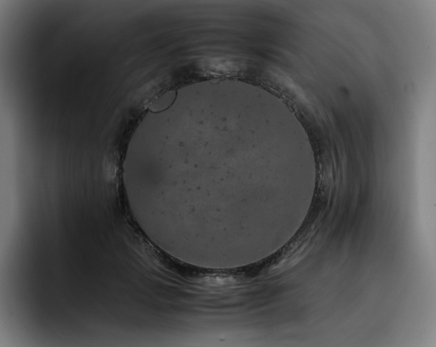 X0000093430749200710121201
