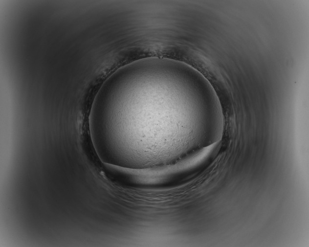 X0000093430750200710121201