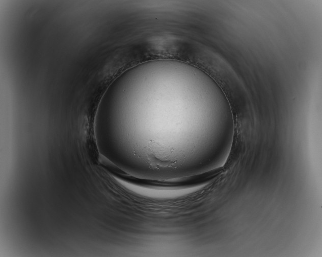 X0000093430752200710121201