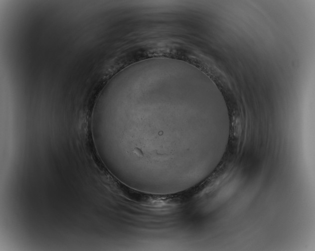 X0000093430753200710121201
