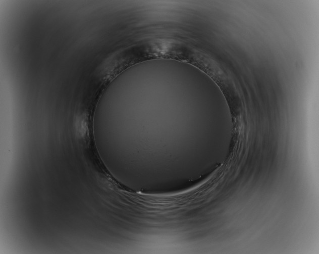 X0000093430754200710121201