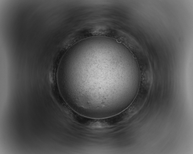 X0000093430755200710121201